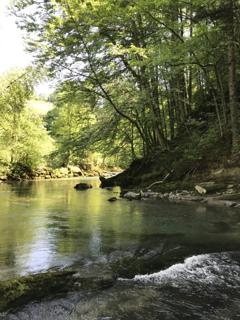 Solange wie möglich selbstbestimmt zuhause bleiben