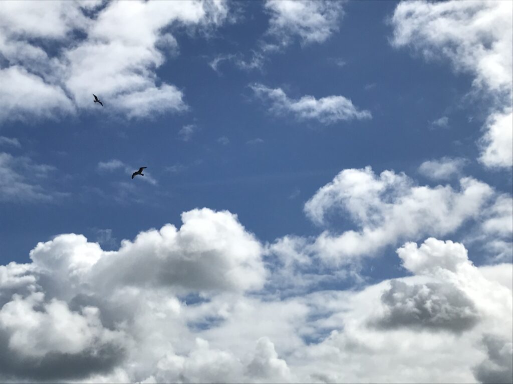 Solange wie möglich selbstbestimmt zuhause bleiben