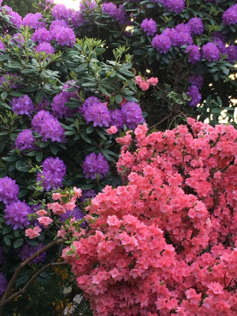 Solange wie möglich selbstbestimmt zuhause bleiben