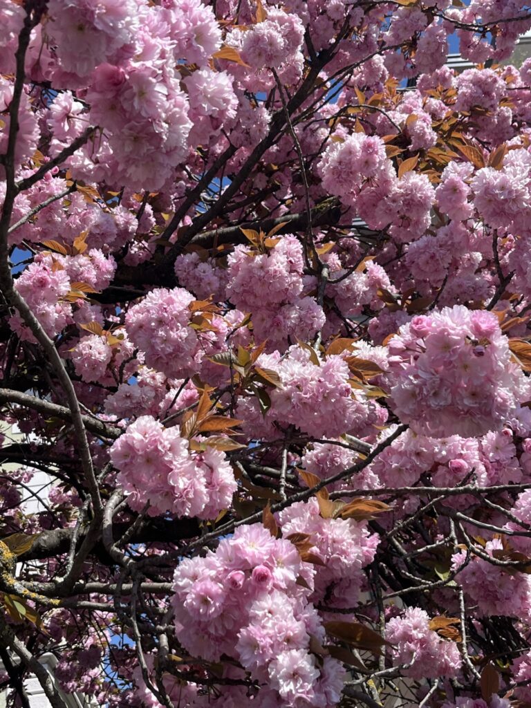 Solange wie möglich selbstbestimmt zuhause bleiben